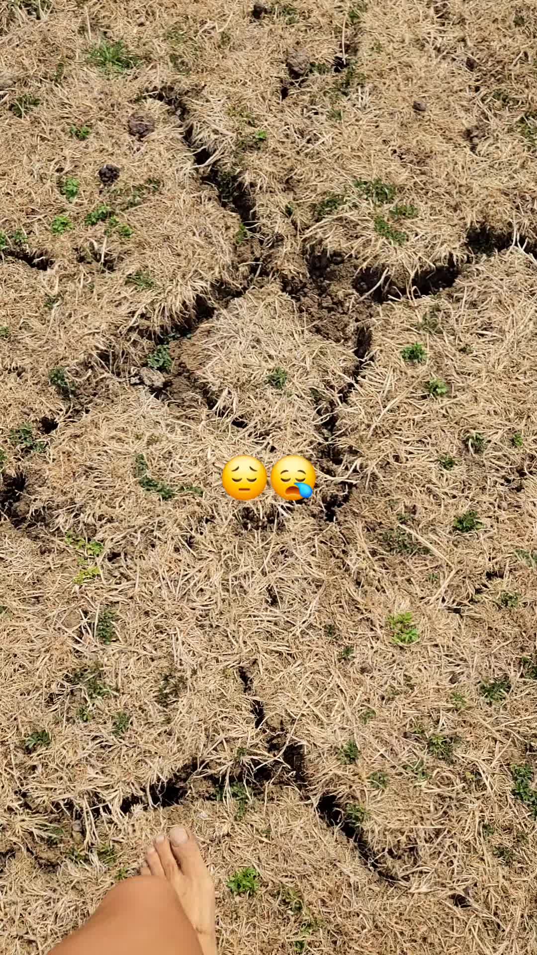 @gaetanegrimaldi21