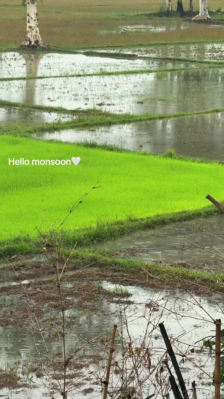 @Karuna