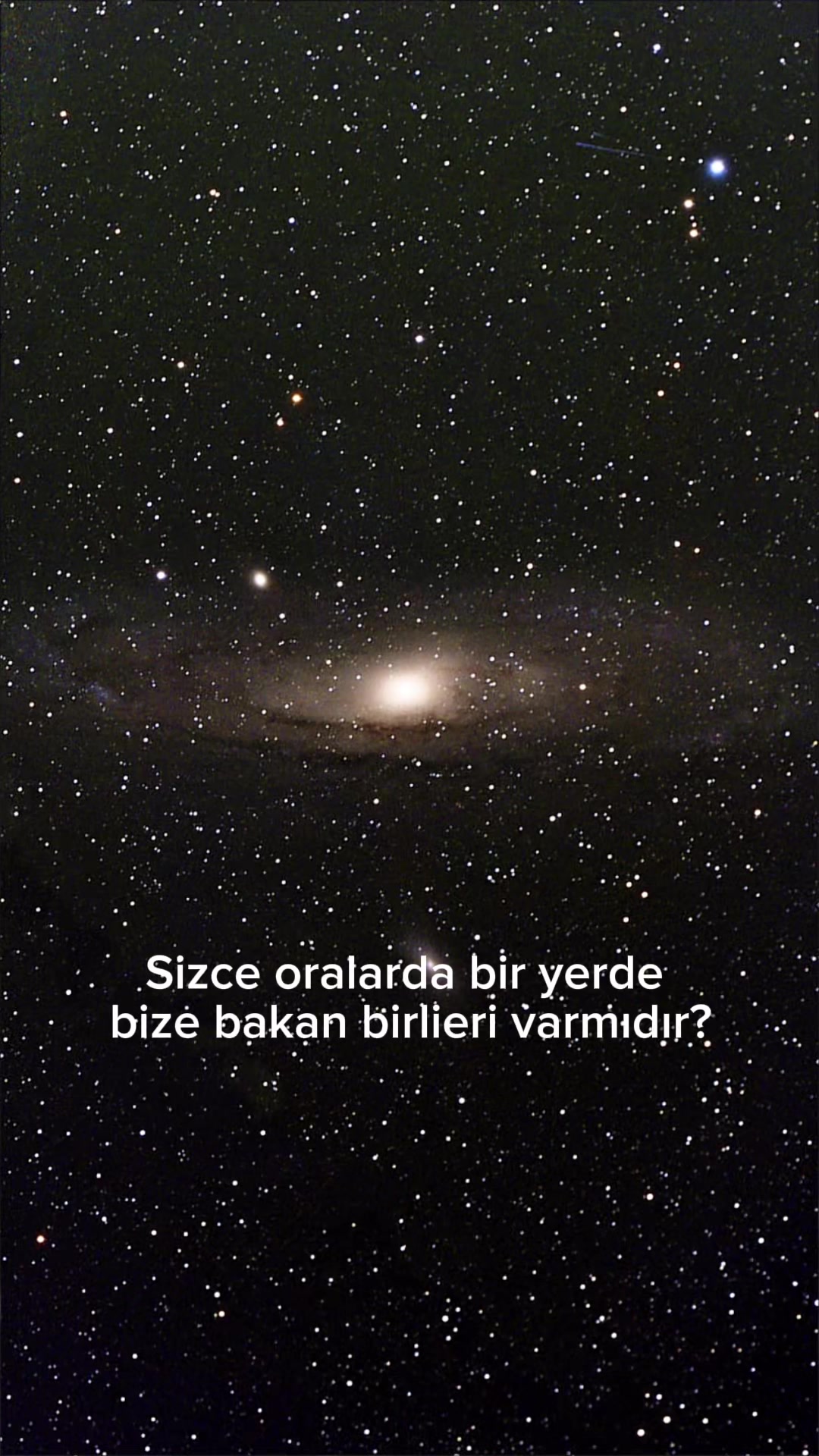 @Ferhat songur