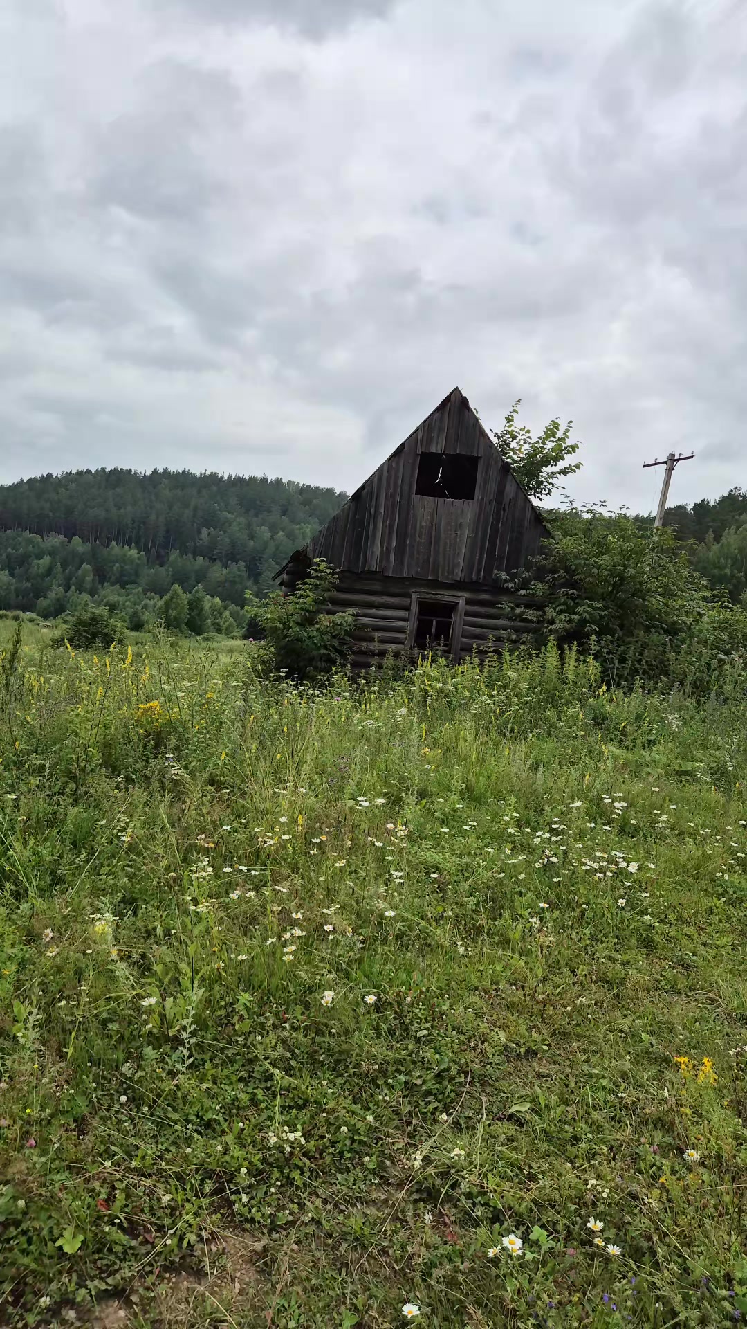@Evgeniy