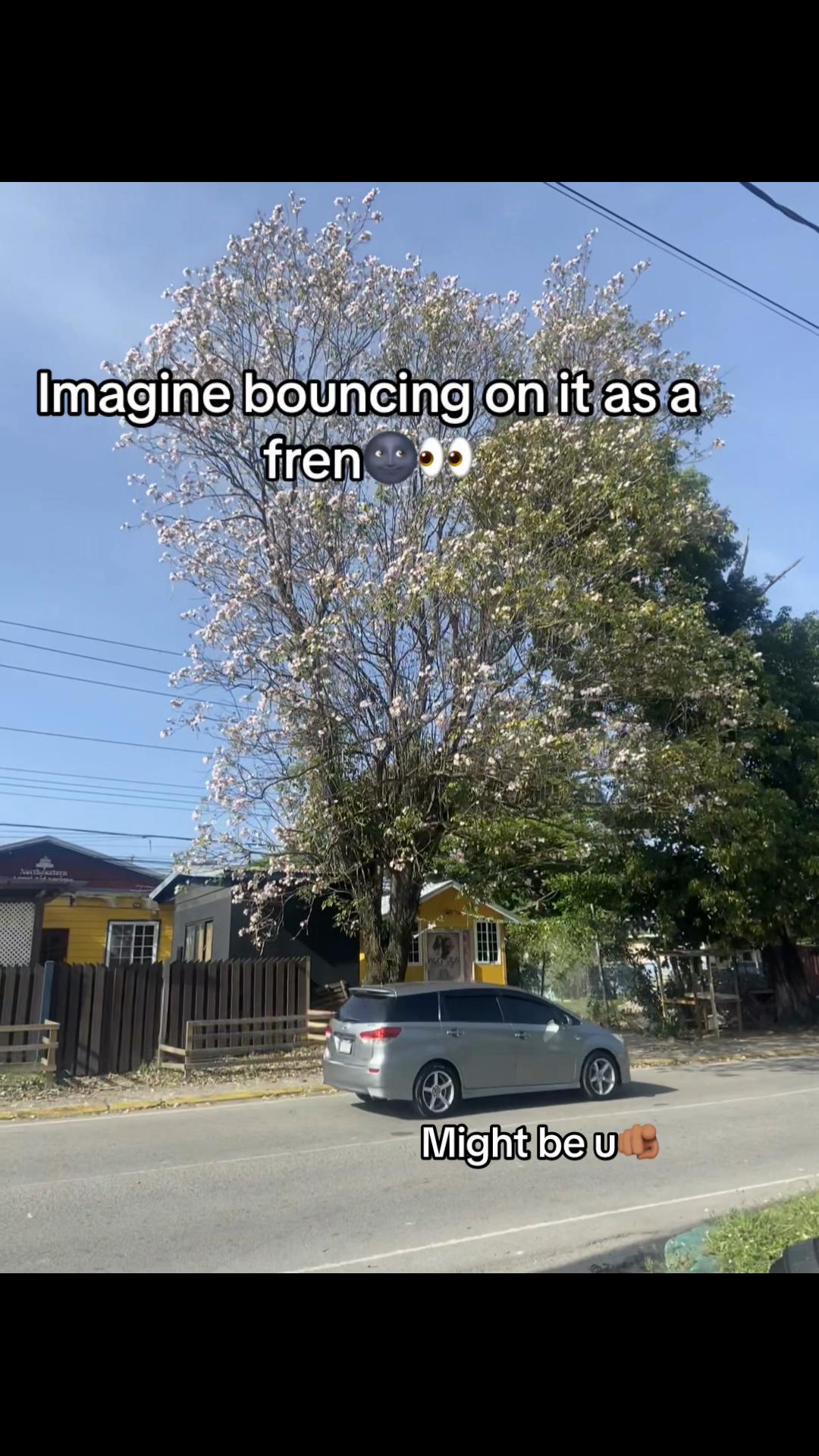 @ Sato