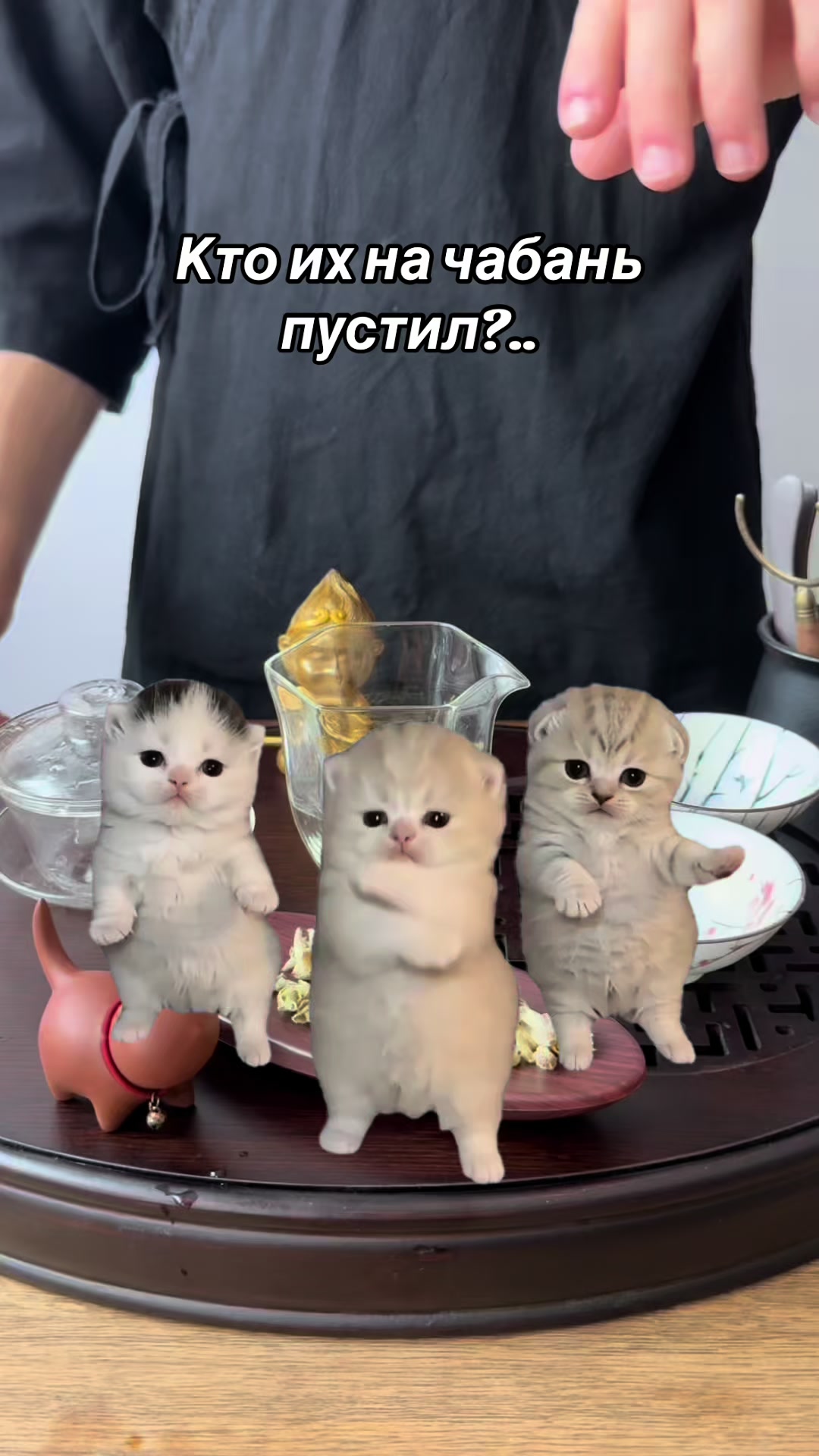 @Chai_Yun🍵