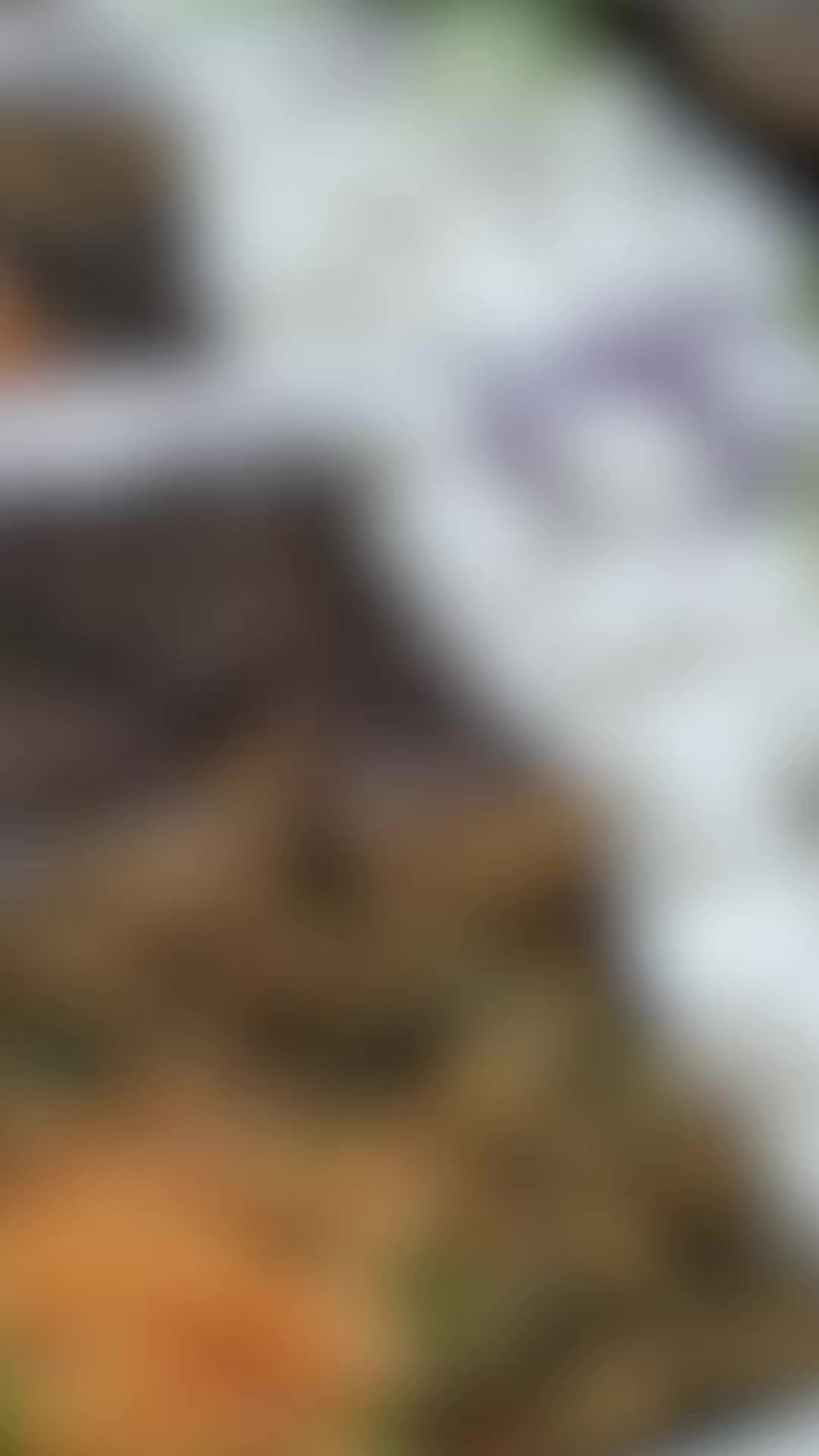 @rawcoconutbn