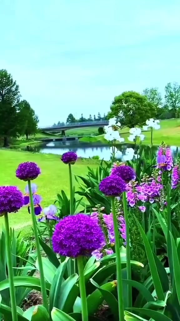 @KADDAR. 🌹🌹🌹