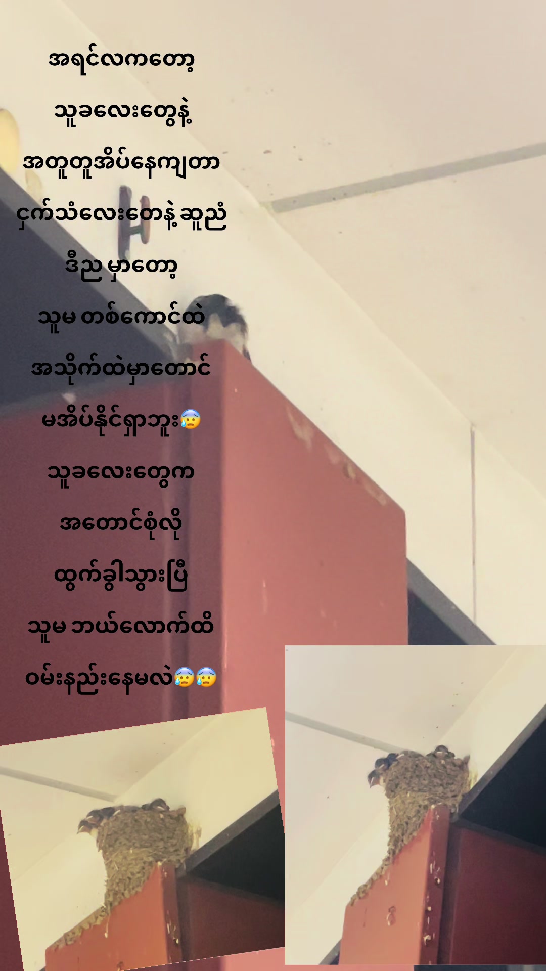 @đ˛đ˛Toe LayđŻđľ(á
á
áşáááŻááşá¸ááŹá¸)