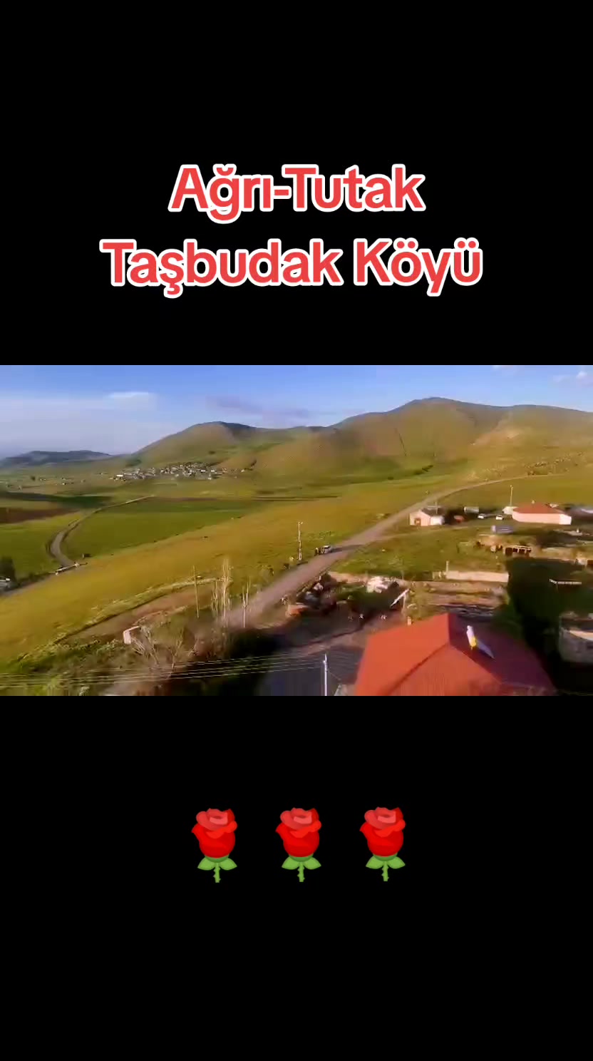 @&Ouml;zkan Boz☑️