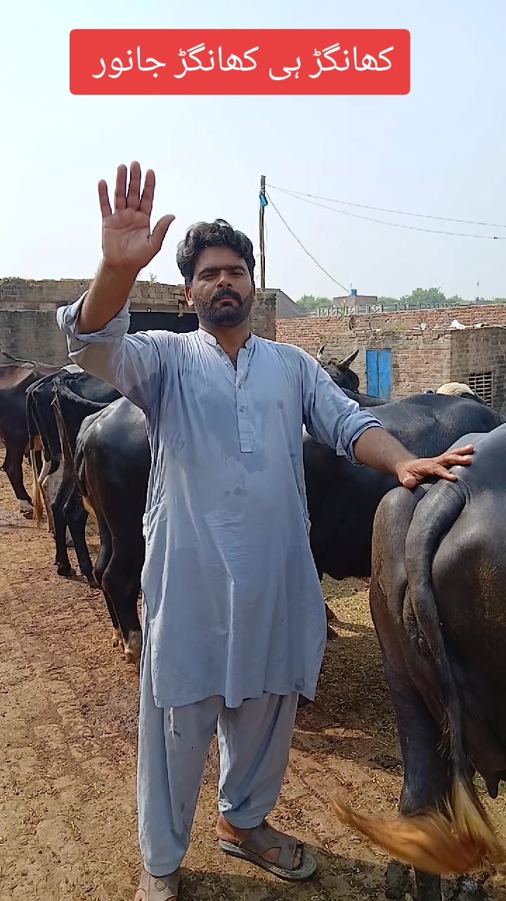 @Farming and Business Ideas