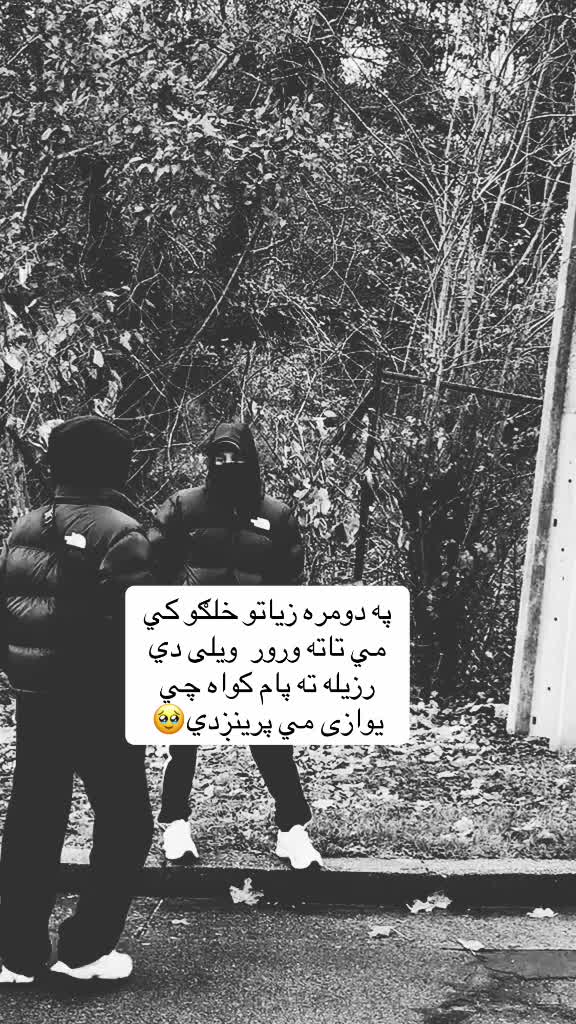 @𓆩•جّنگّــᬼــجّو٘•𓆪