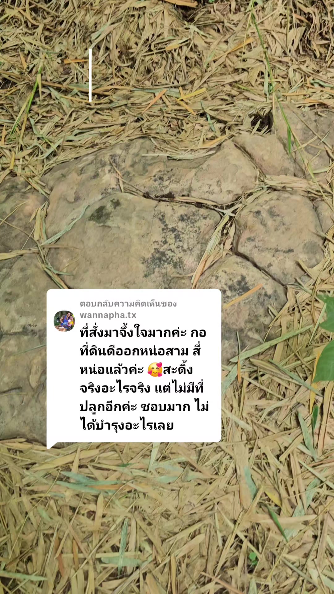 @นัดดาชอป