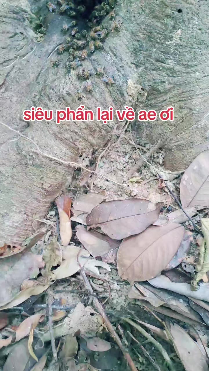 @Kết Nối Đam Mê Ong