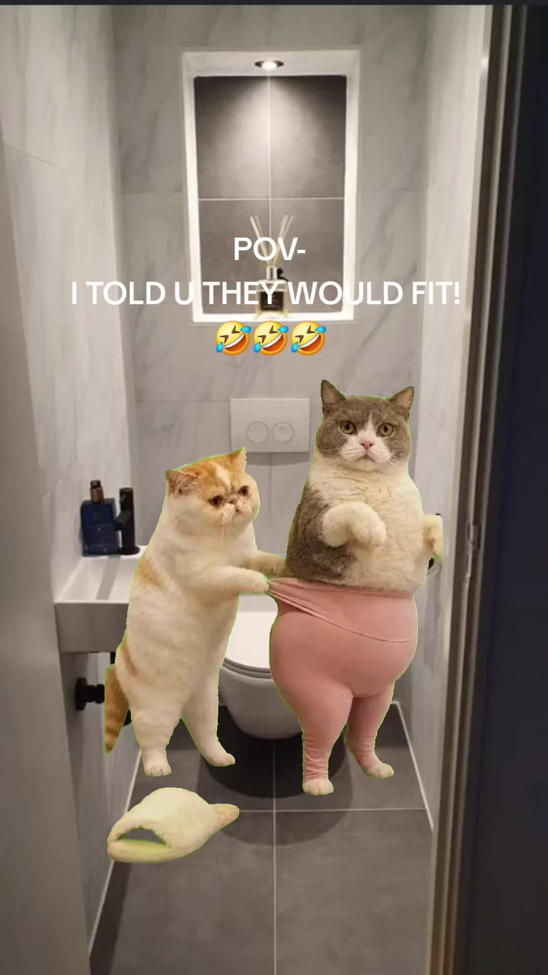 @KJH