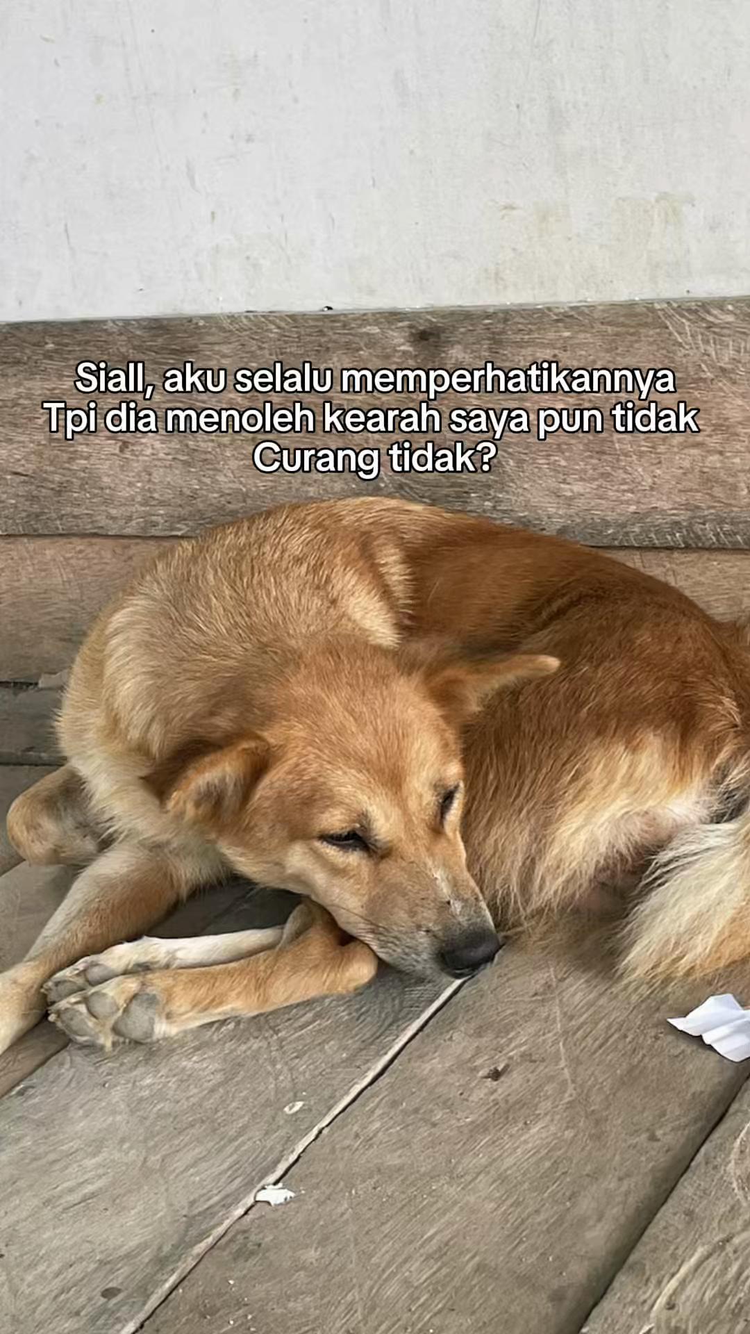 @Tidak Diketahui