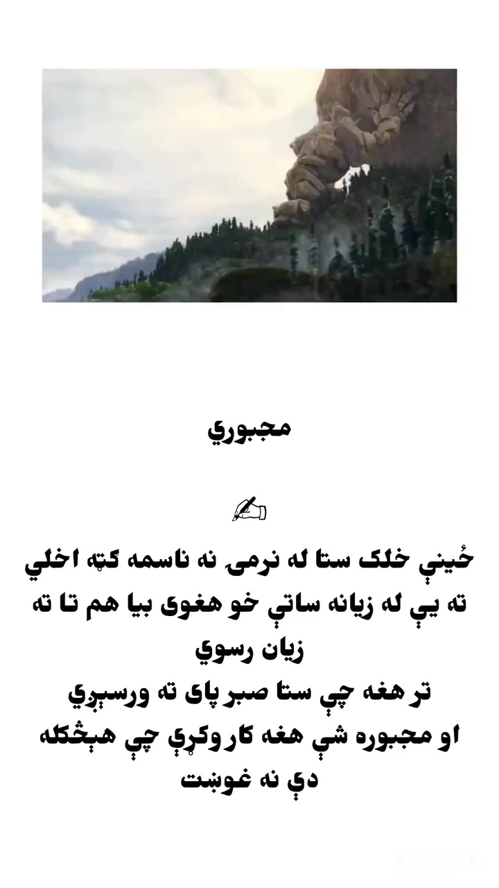 @ریس 💀پروانی 👑هلک
