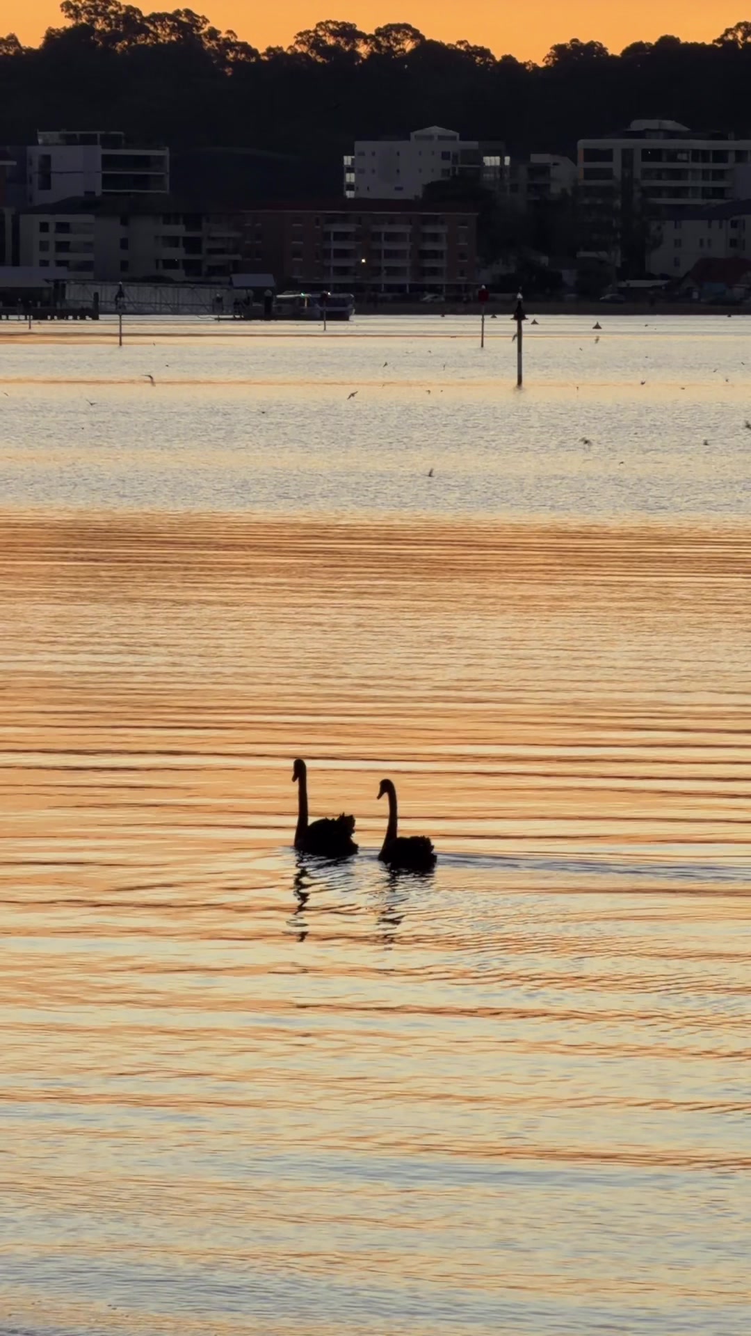 @Destination Perth