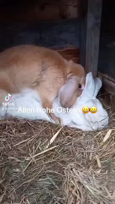 @Alina