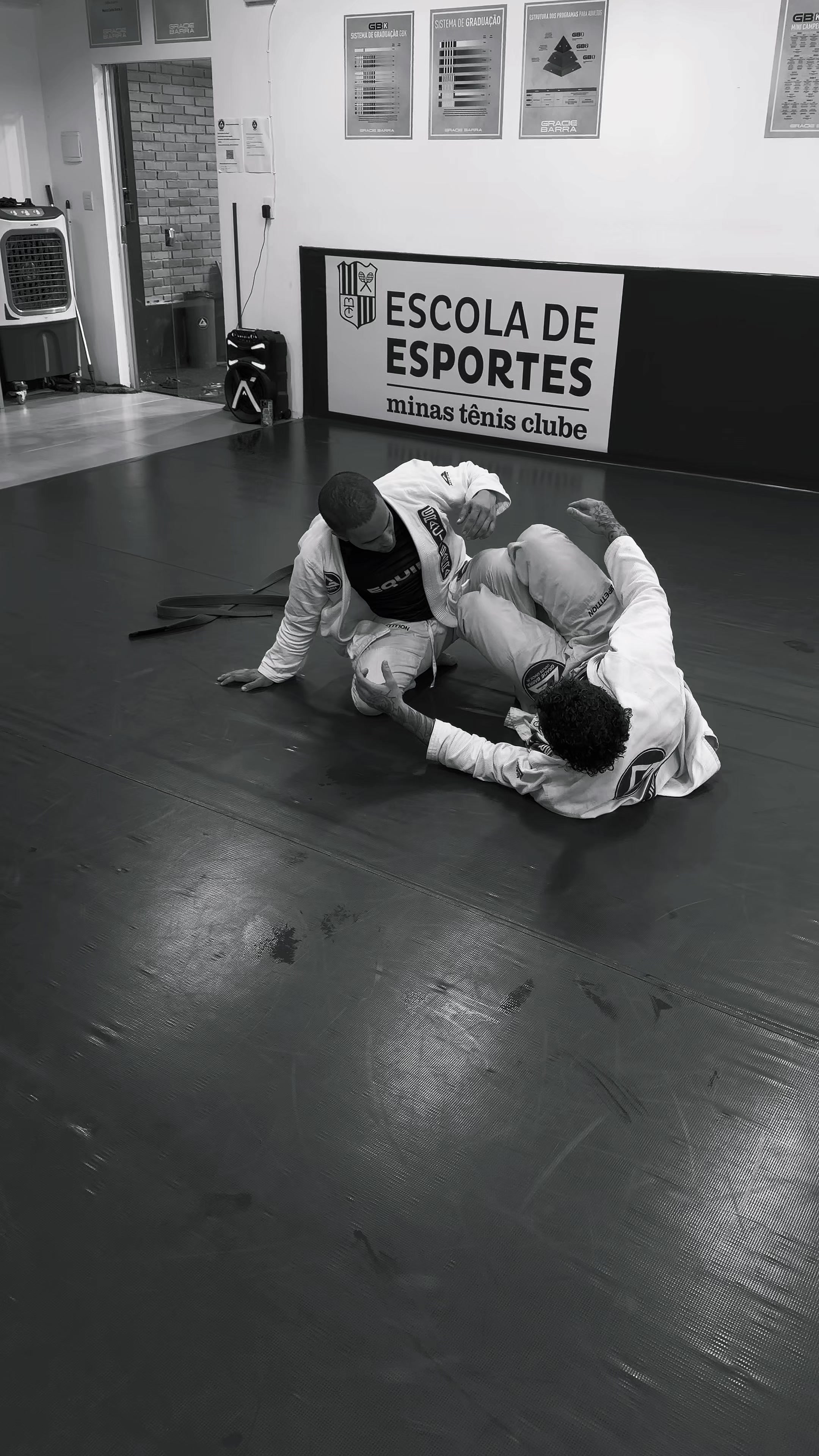 @Pedro Magalhães