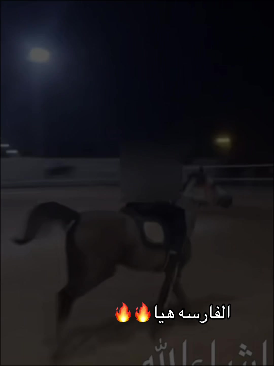 @فارسات وفرسان سدير