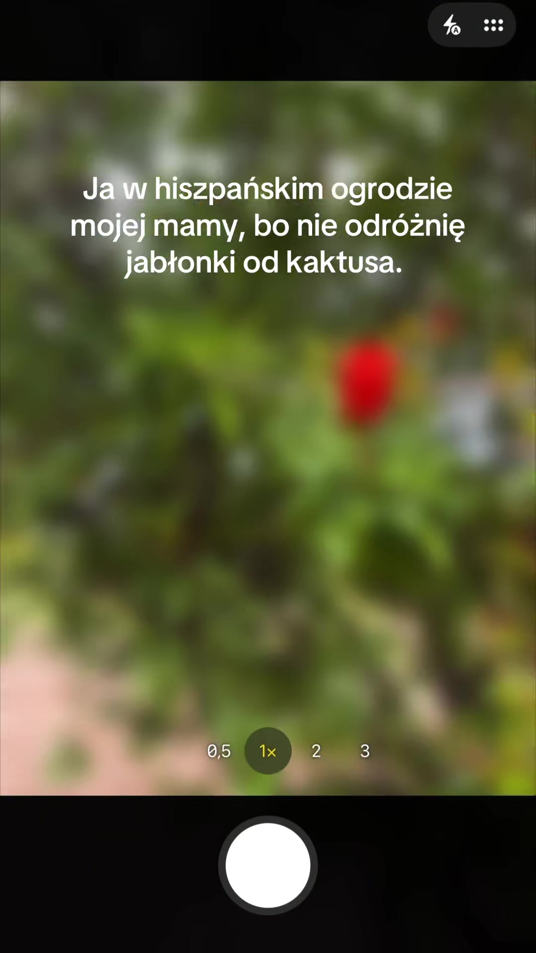 @ZUZDMI