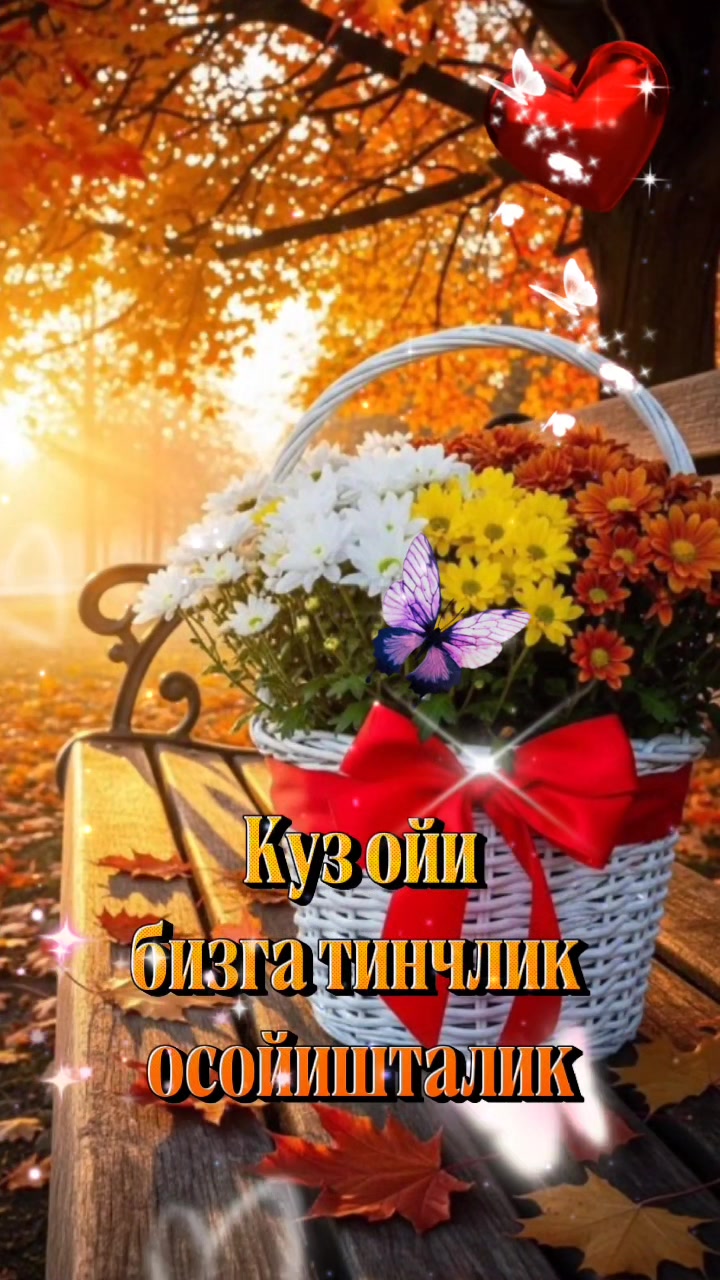 @Ностальгия✅️