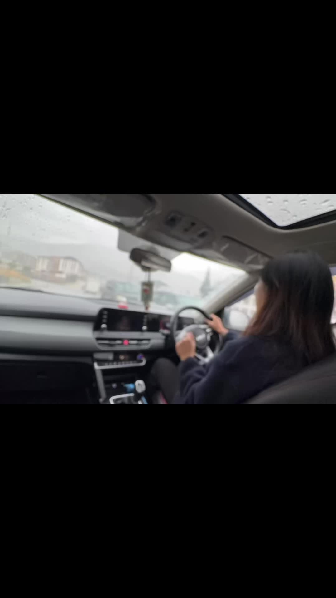@drive.with.puckchi