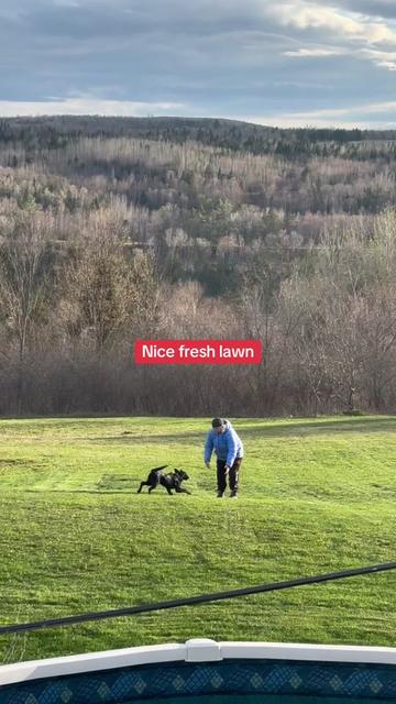@🇨🇦Rachael&rsquo;sFunnyFarm2025🧚🎸