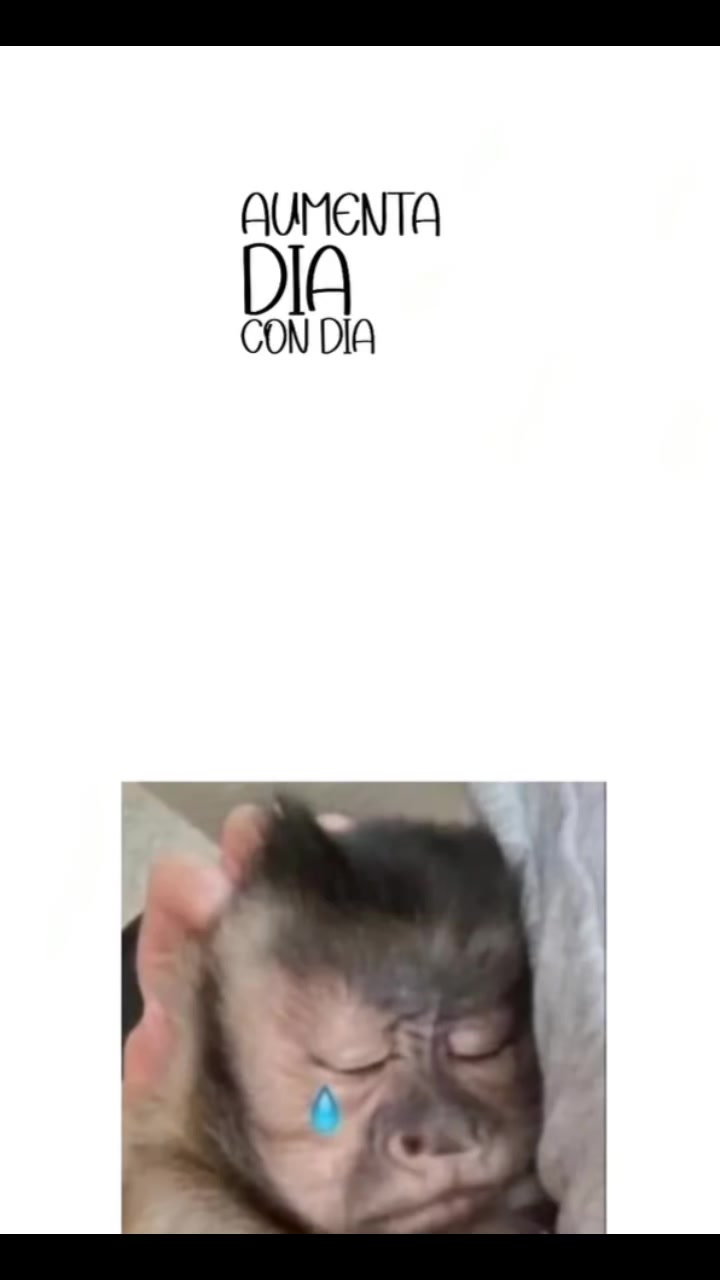 @🐝ܔܢܜܔ