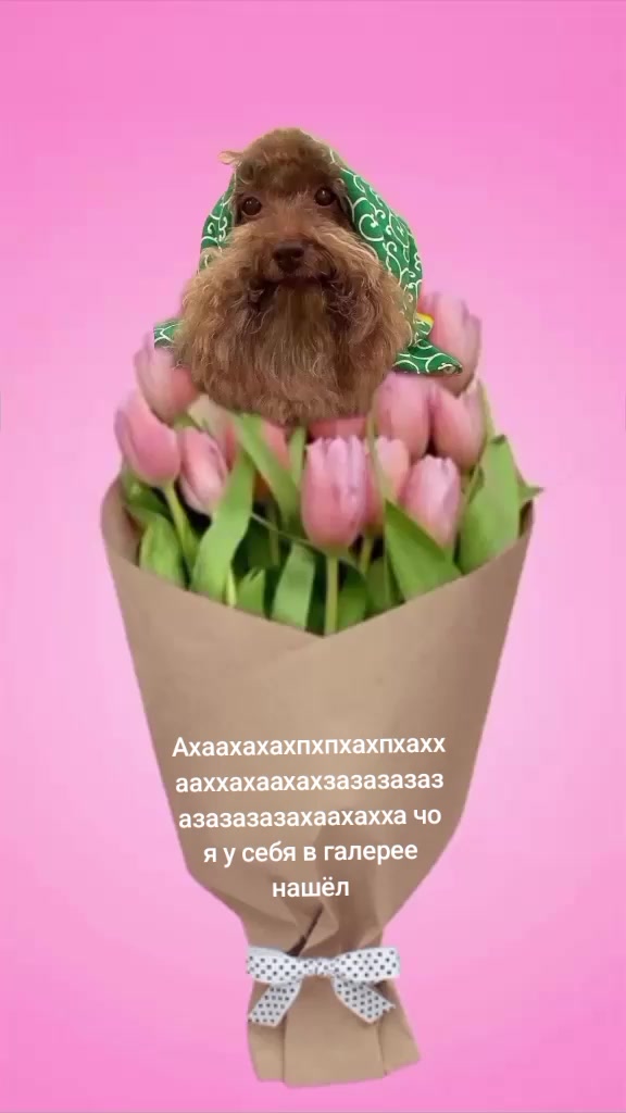 @зима короче 🩵🩵