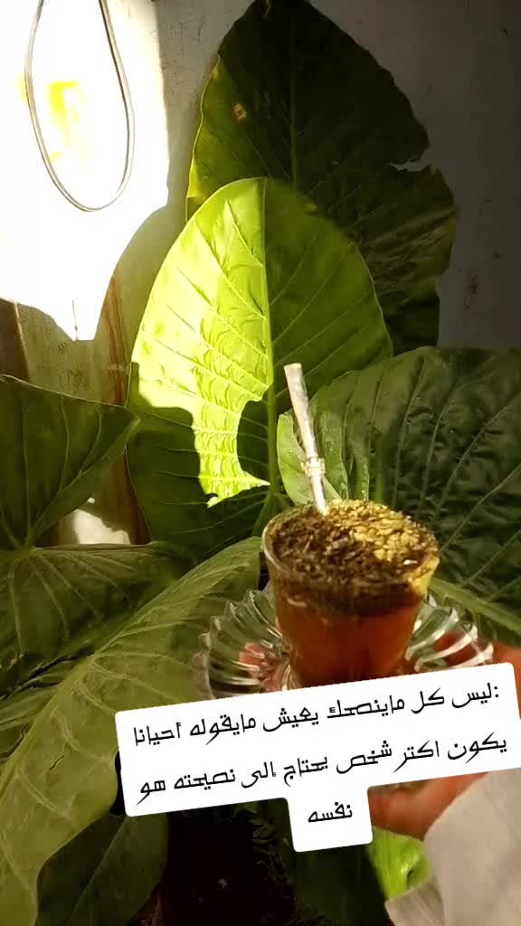 @:مـــ&weierp;َؒؔـزاجٌّــ&weierp;َؒؔــَٰٖٖٙه