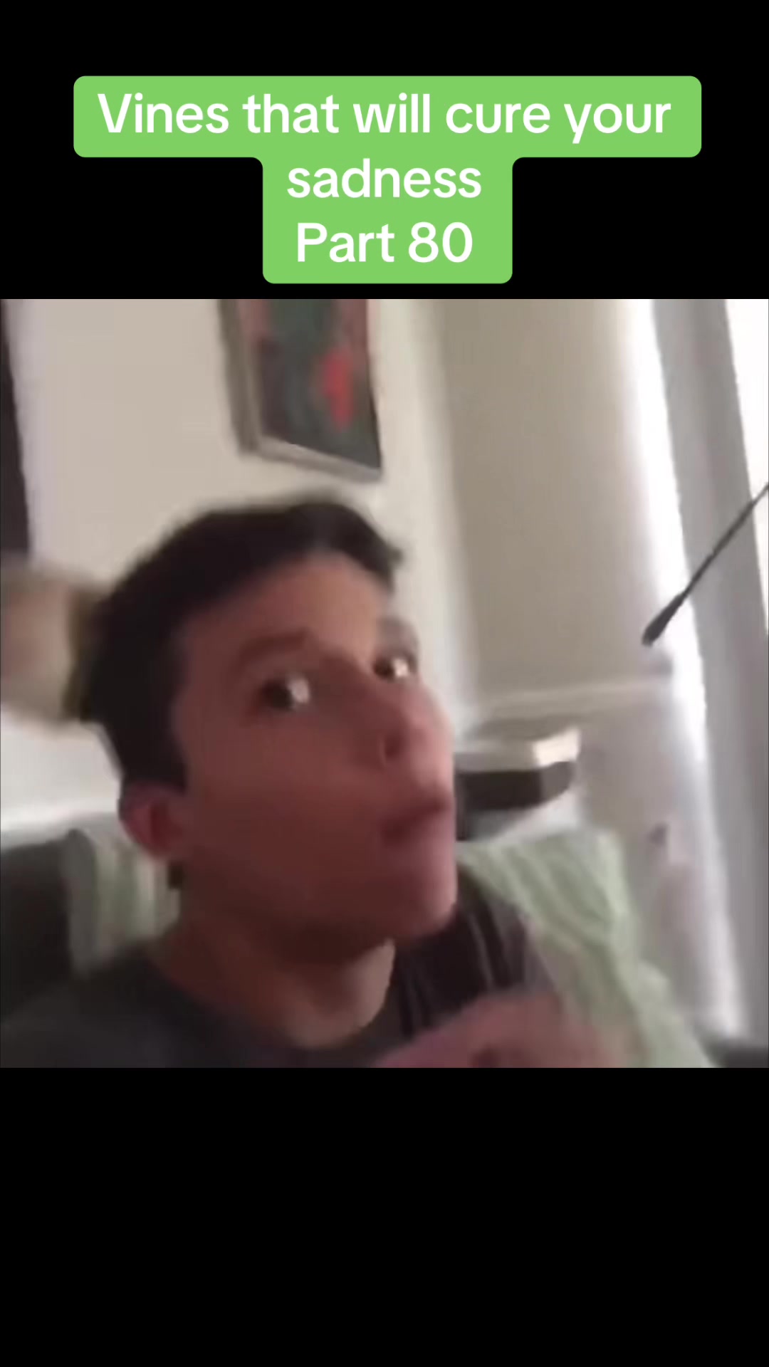 @vinesonlytiktok