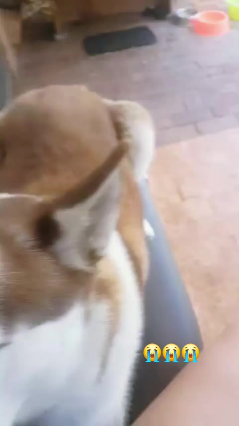 @LiLFoXy ๐ฆ
