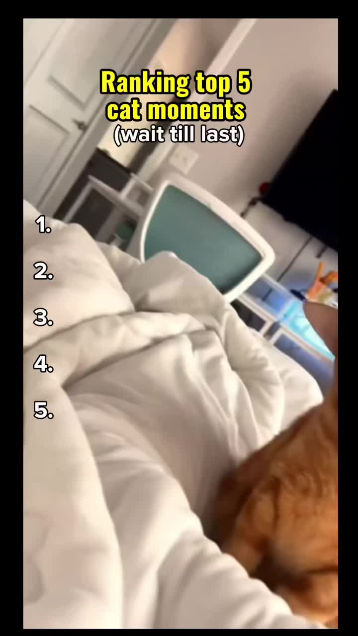 @ranks_pablo