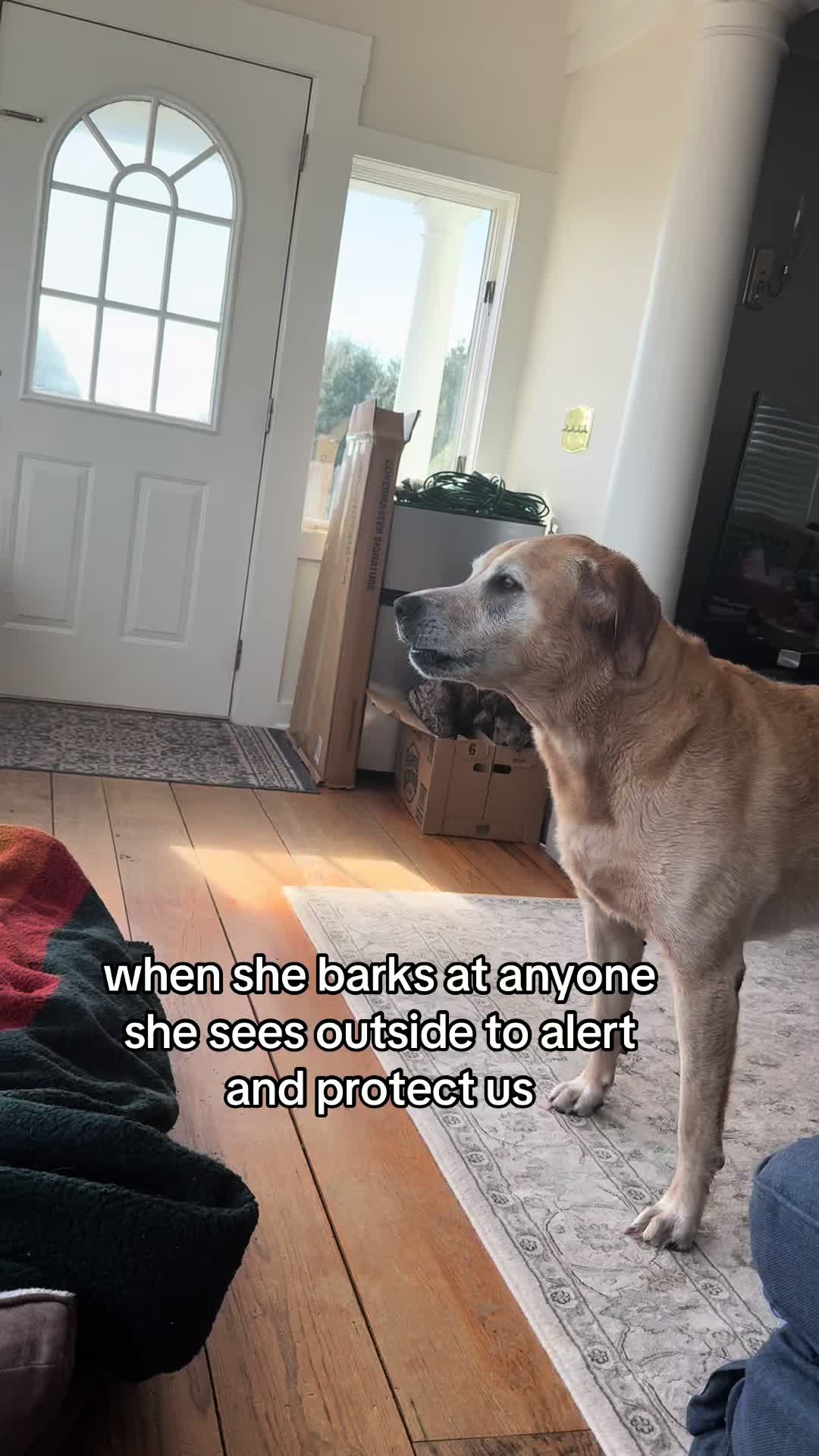 @anna