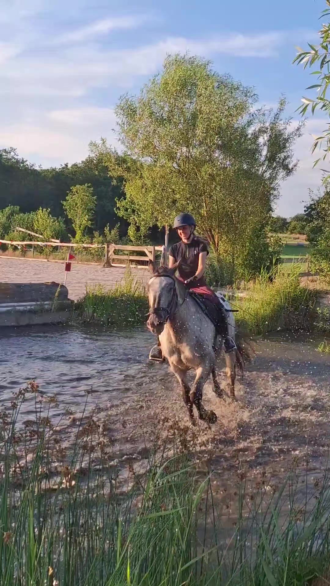 @horses.by.Britt:)