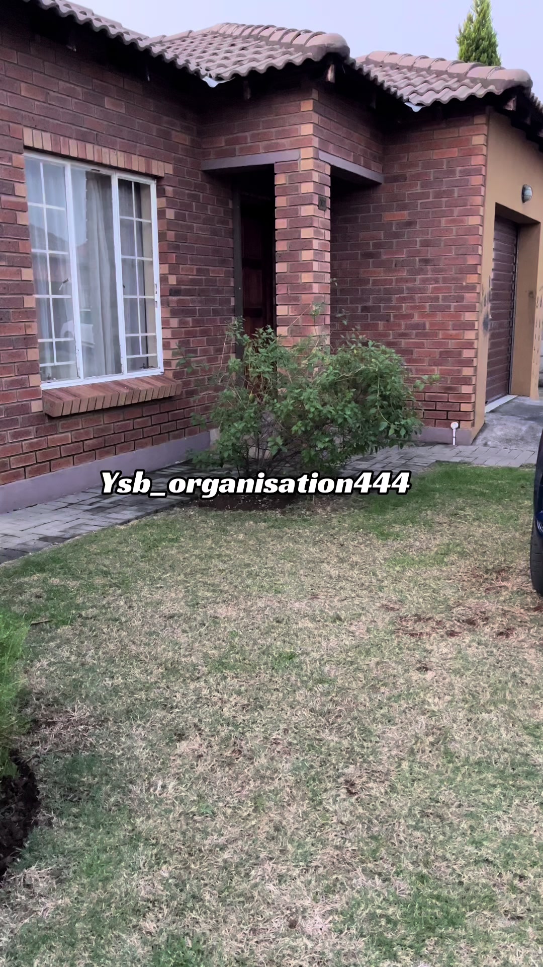 @YSBorganisation