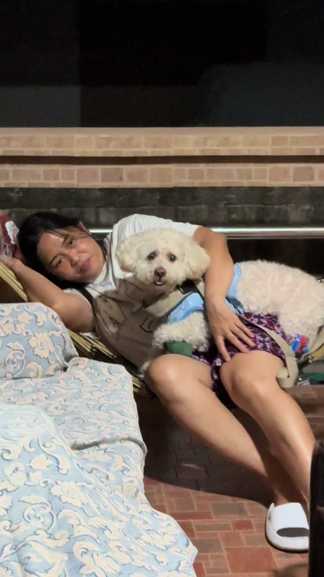 @Coco the poodle