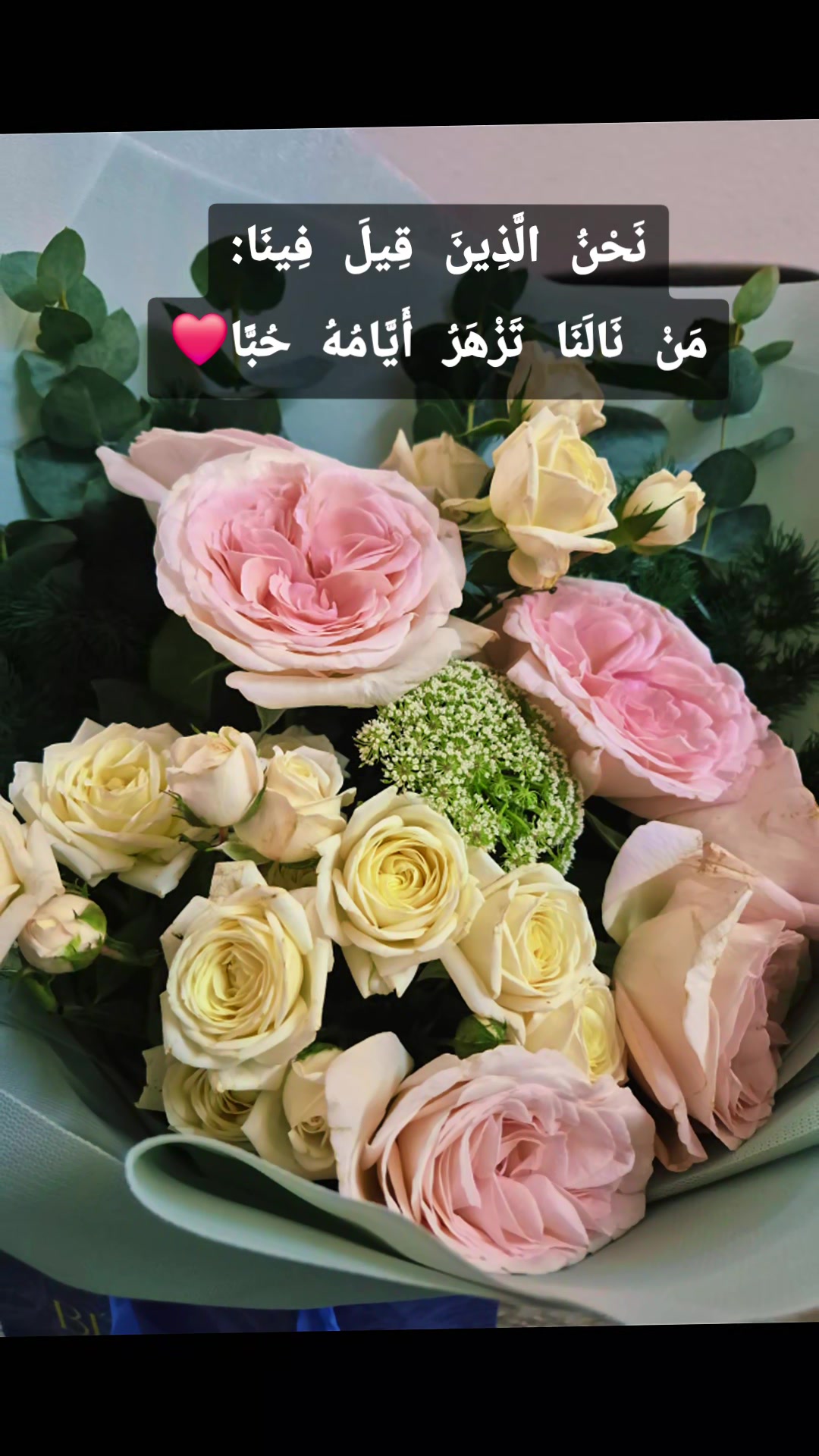 @ايلول | 𝐀𝐲𝐥𝐨𝐥 ♡