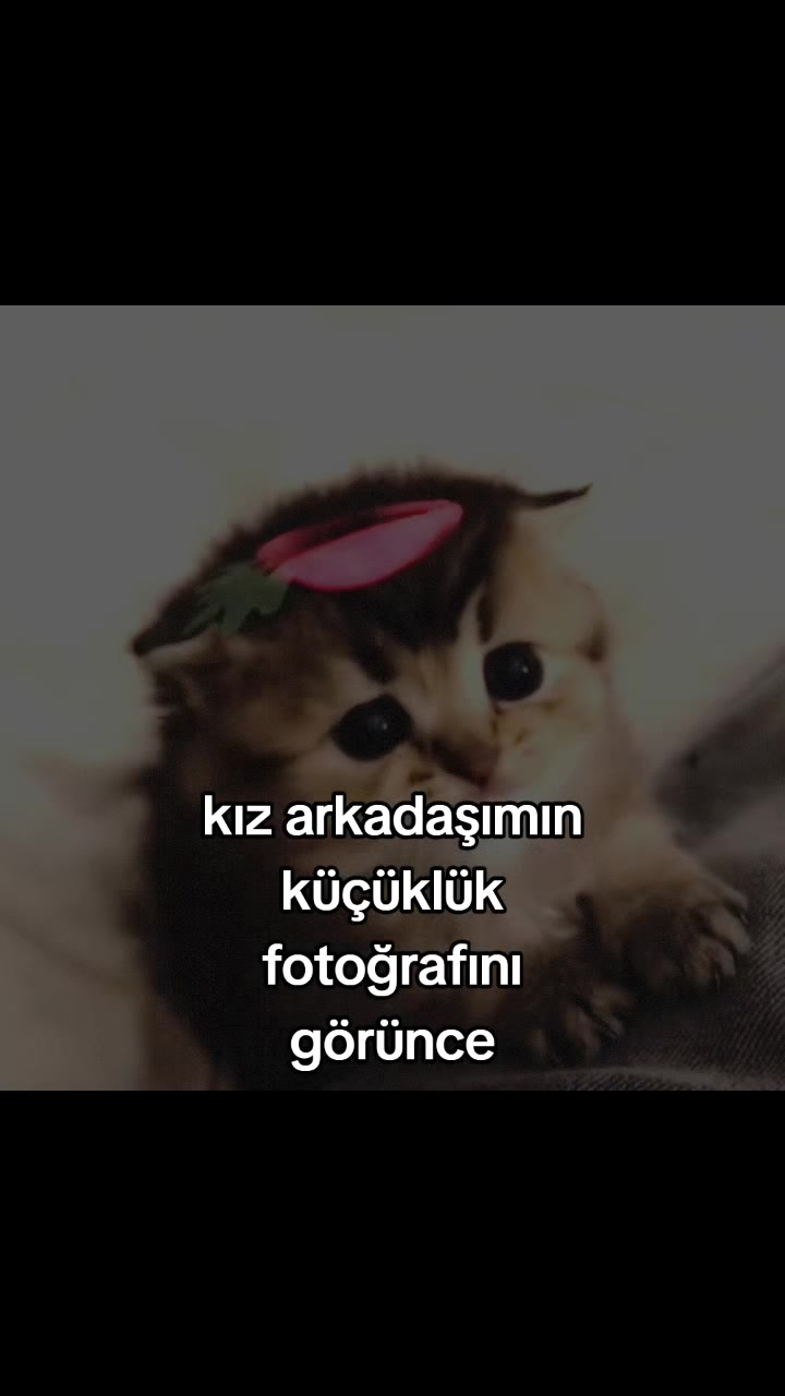 @kayra