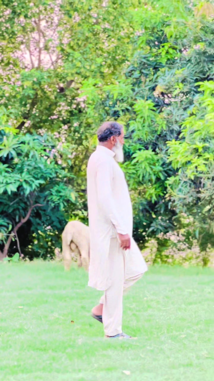 @🕊️ کا شی 💫