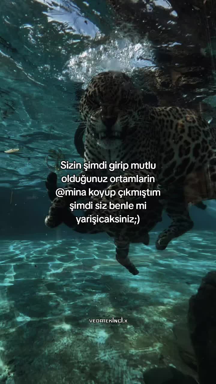 @VEDAT EKİNCİ