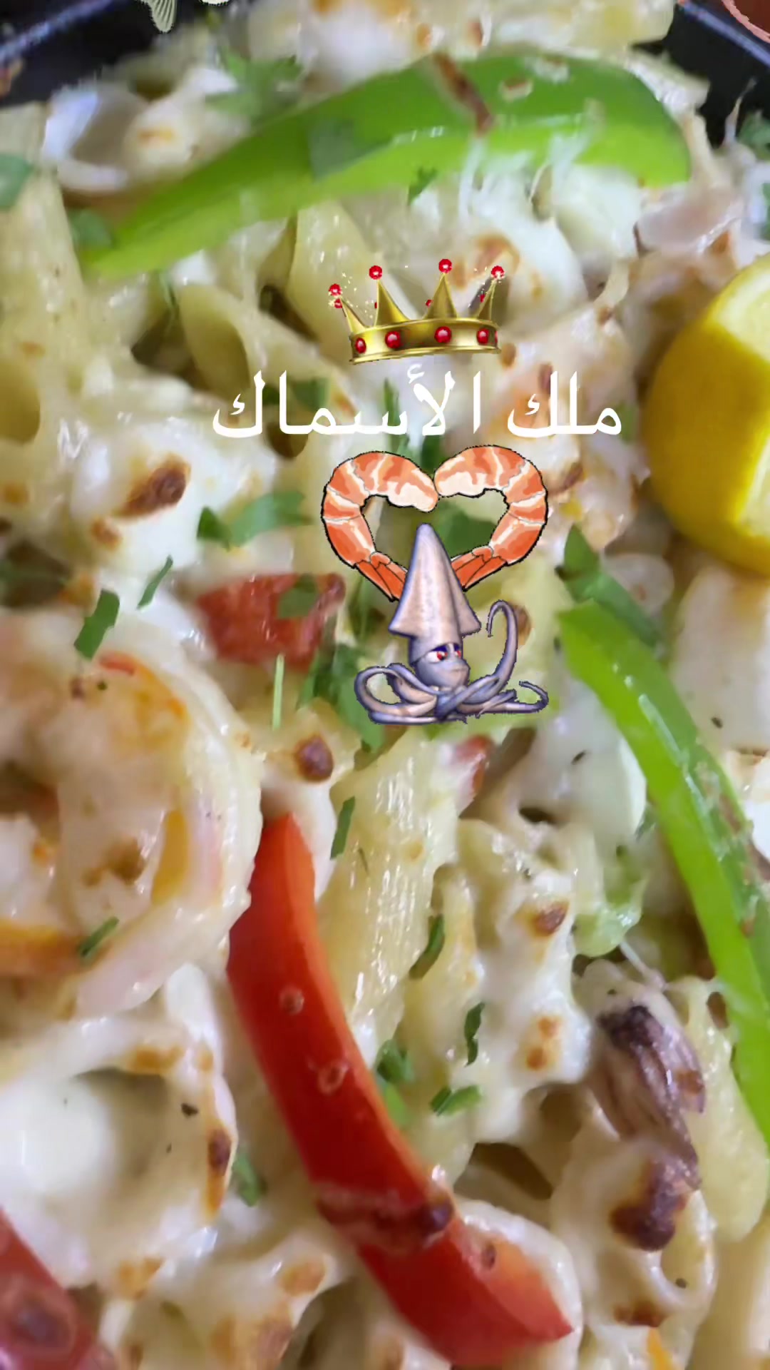 @KING FISH 🇴🇲 مـلـك الأســماك