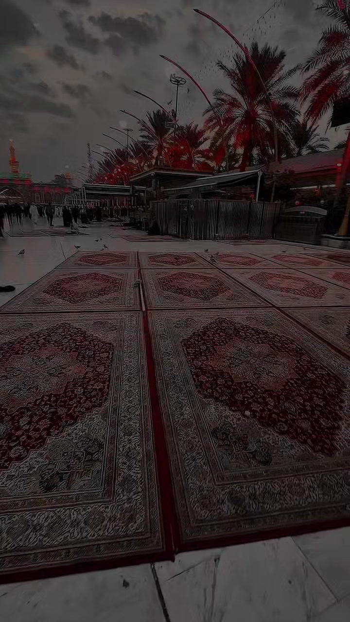 @➪𝐒𝐡𝐢𝐚 𝐇𝐮𝐬𝐬𝐚𝐢𝐧𝐢』