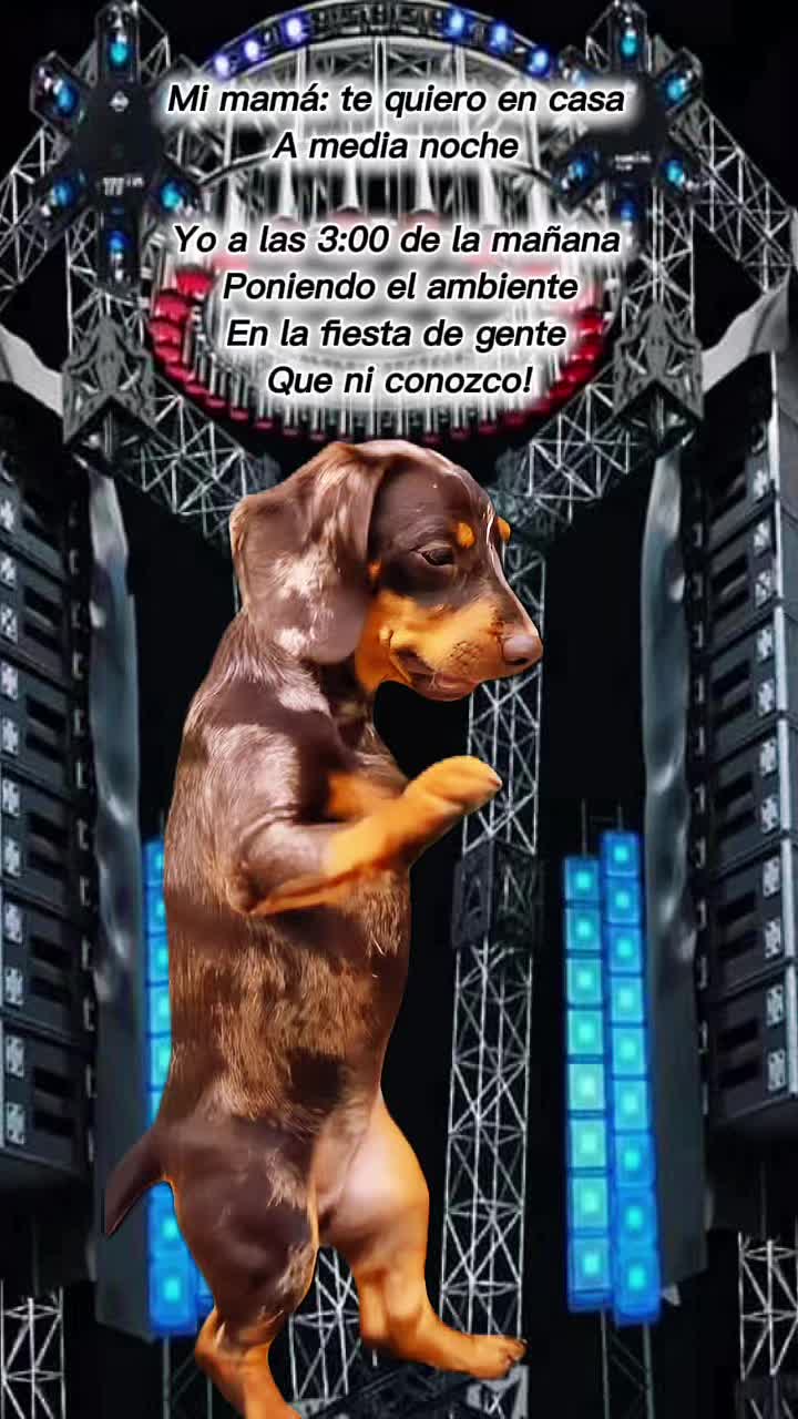 @JIbarra