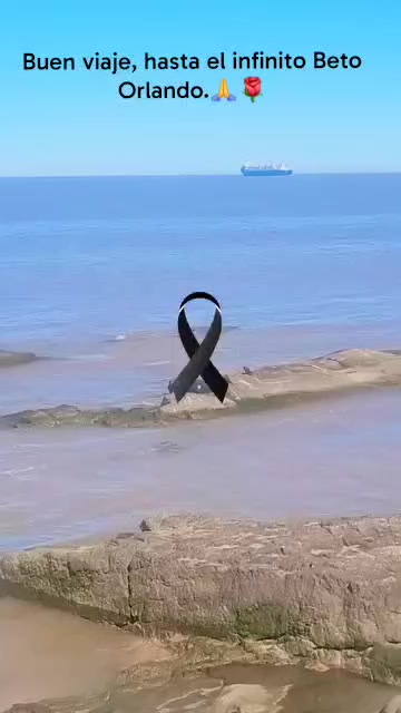 @Solbonazzola