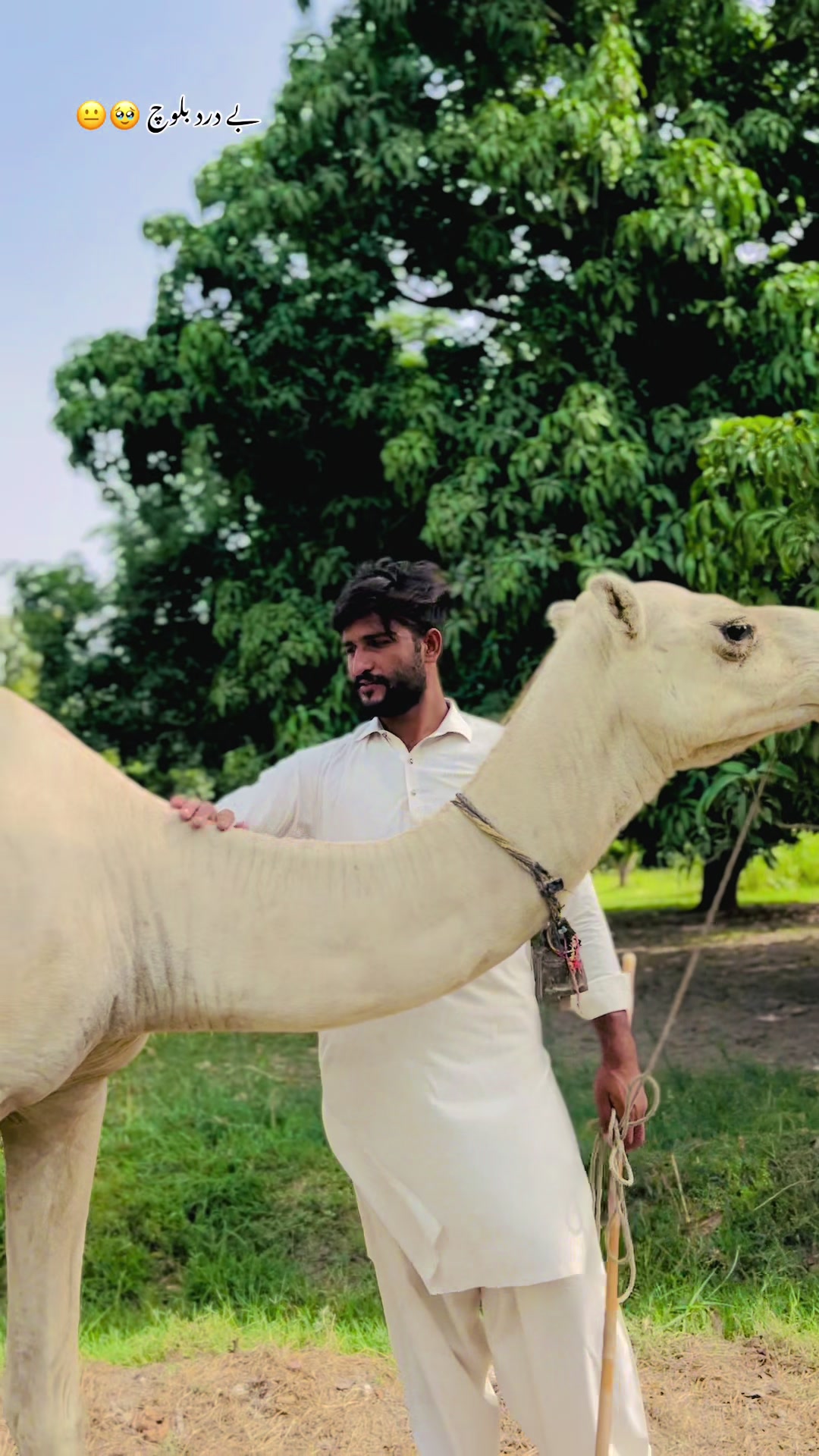 @Ahsankhan Bhutta 🥀