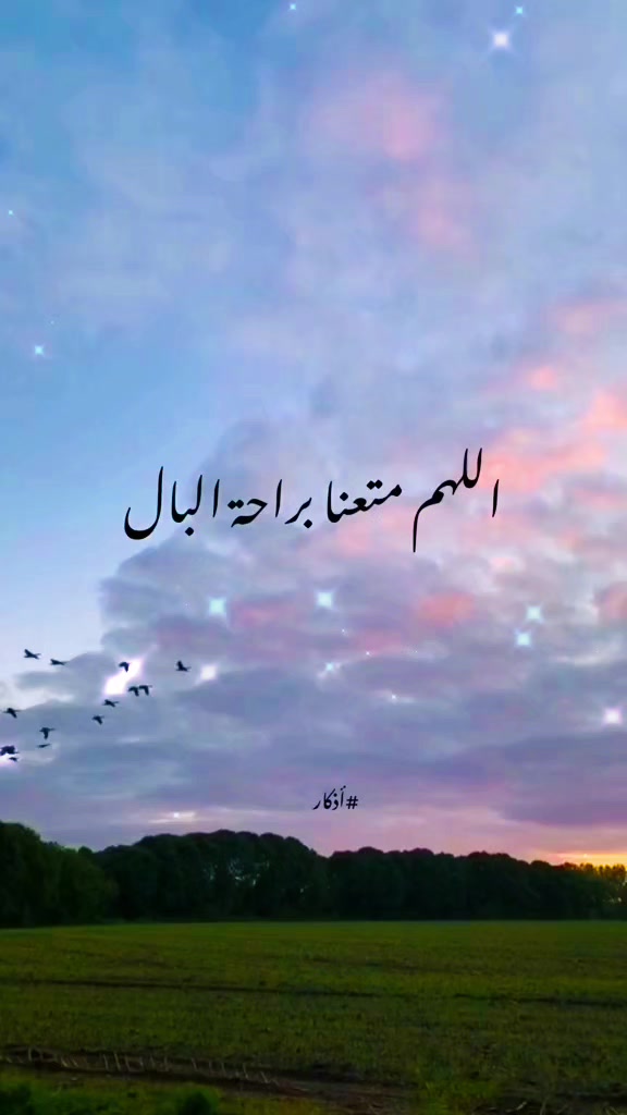 @👑🐎احمد ابو أمير  🐎👑