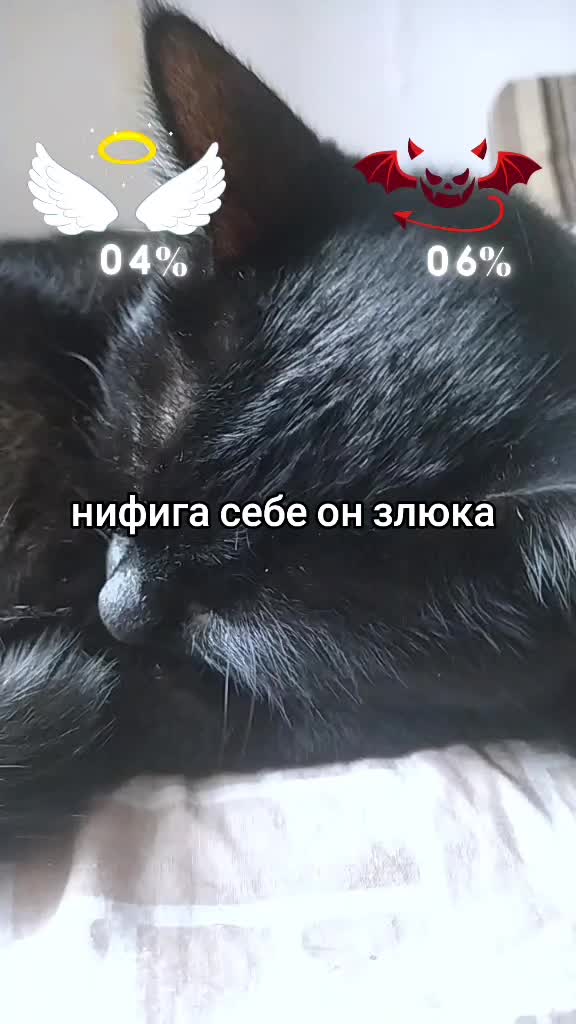 @вафля🧇