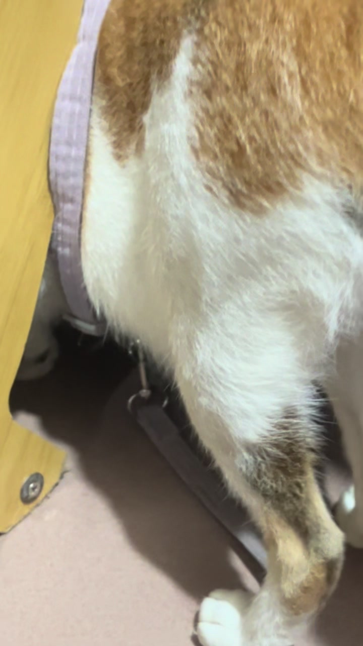 @Mew mew