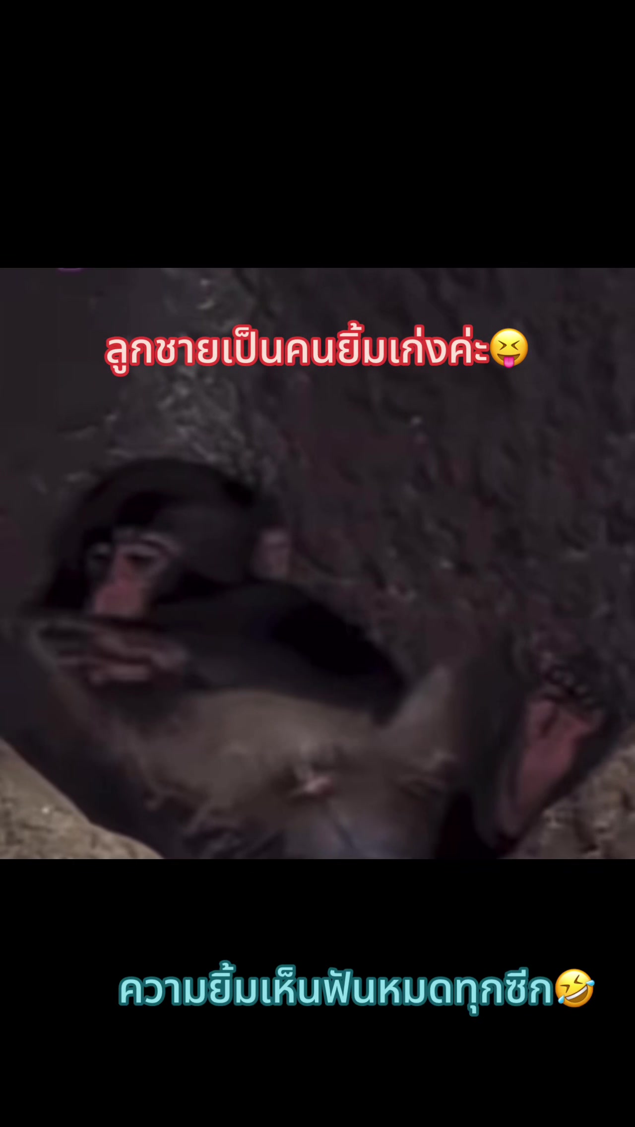 @mymint_teamwang