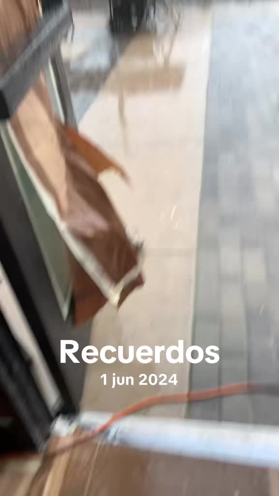 @🇲🇽🔋PILAS🔪CON🗡️🔋JAROCHO🔋