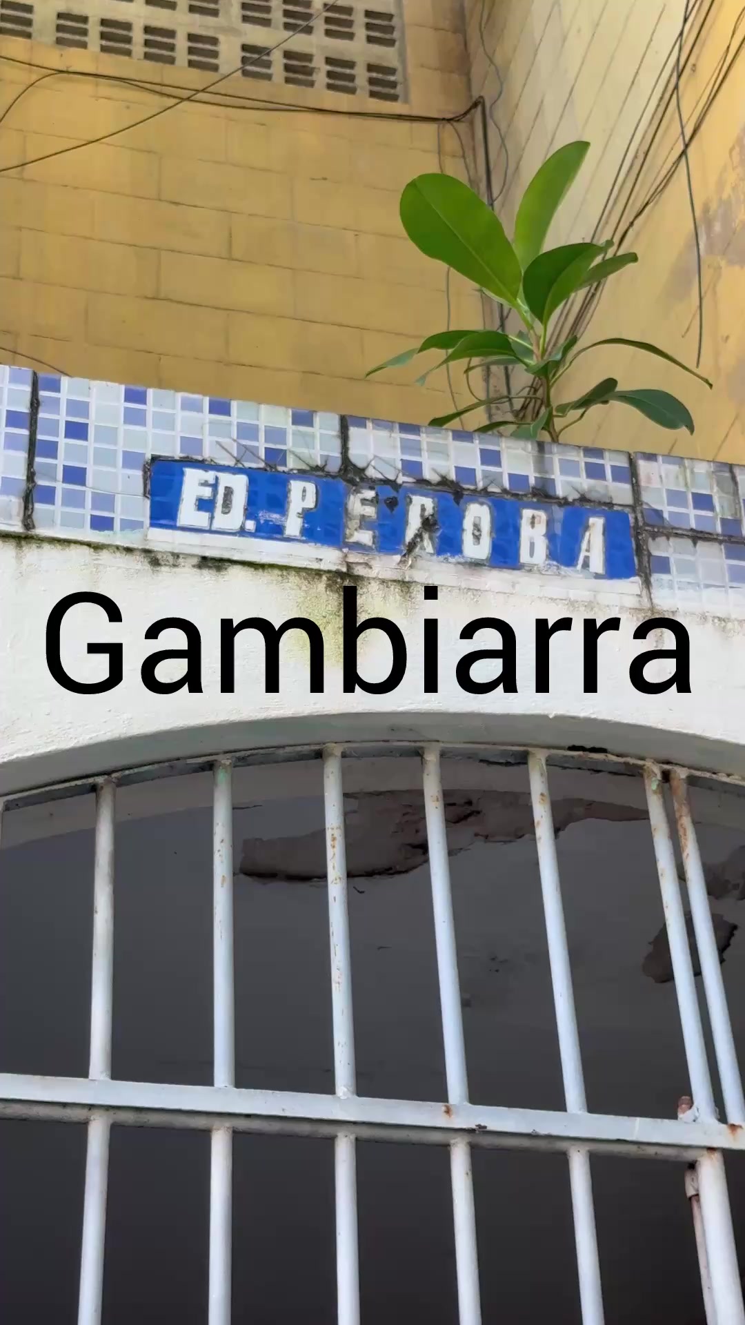 @Dos Anjos Serviços H